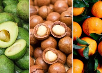 South African avocados, macadamias, and citrus: A delicious trio of exports driving the country’s economy. While avocados and macadamias are thriving, the citrus industry faces challenges from climate variability and global competition. Photos: Supplied/Food For Mzansi