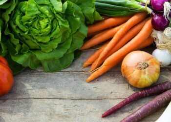 With Fairtrade certification, sustainable practices and community investments lead to thriving agricultural ecosystems and improved livelihoods. Photo: Supplied/Food For Mzansi