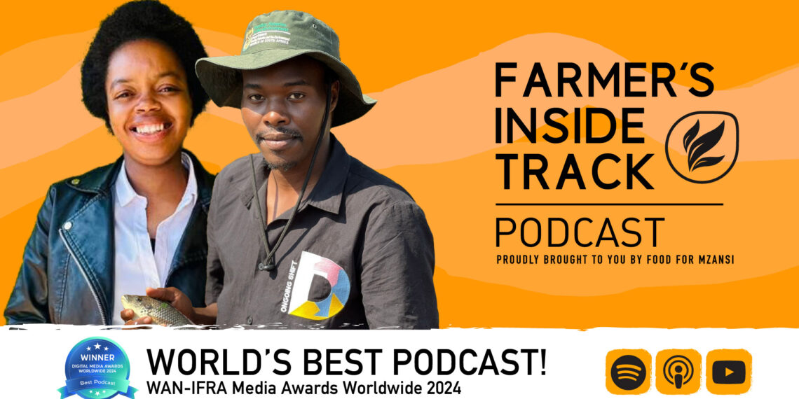 Marvellous Makhado and Mukovhe Matshaya use eco-friendly methods to grow fish and crops, creating jobs and strengthening food security.
Photo: Food For Mzansi