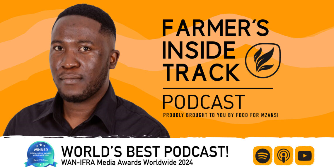 Kenneth Malatji shares tips to prevent abortions in cattle. Photo: Food For Mzansi