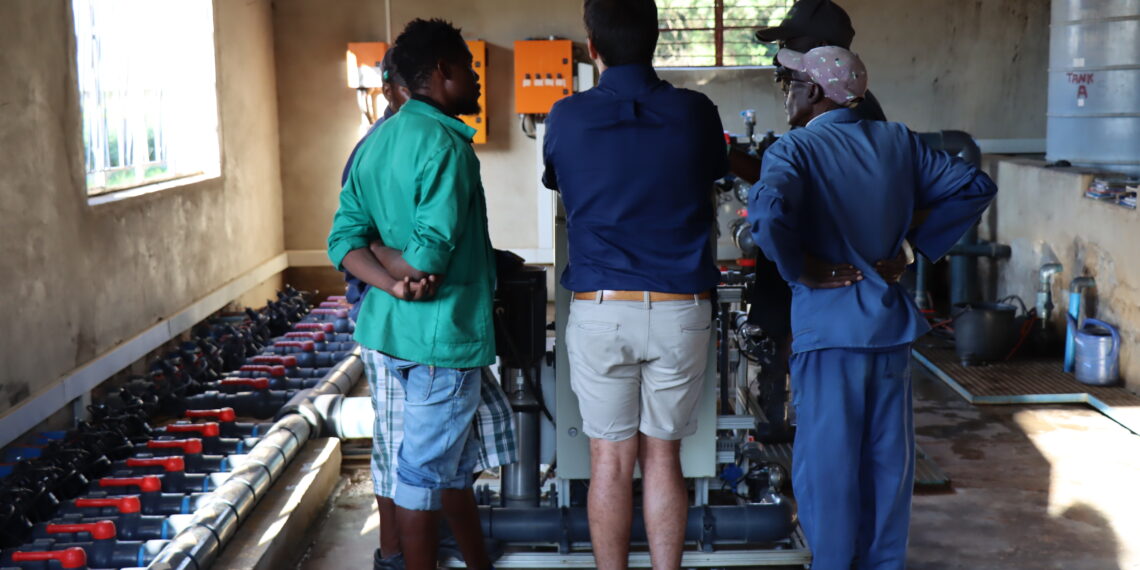 For farmers aiming to commercialise, automation offers the precision and efficiency needed to thrive in South Africa’s challenging agricultural landscape. Photo: Supplied/Food For Mzansi