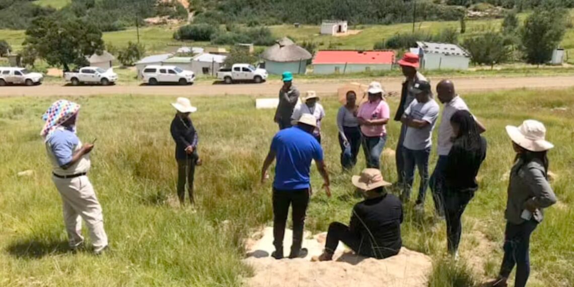 In the Umzimvubu Catchment Partnership, communities work with non-profit organisations and academics to restore and protect natural springs so that people have clean drinking water. Photo: Environmental and Rural Solutions