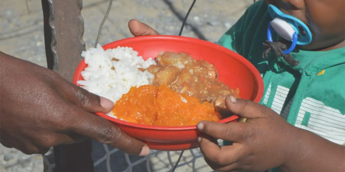 Farmers in Mzansi have urged the government to give them the opportunity to supply produce to schools. Photo: Supplied/Food For Mzansi