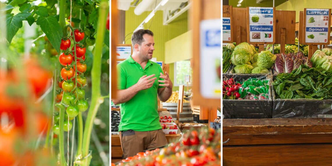 Co-owned by, Pascal Gutknecht, Bruno and Karin Gutknecht and Thomas Etter, Gutknecht Gemüse spans 130 hectares of crops and seven hectares of greenhouses, producing everything from broccoli to cucumbers. Photo: Supplied/Hansjürg Jäger