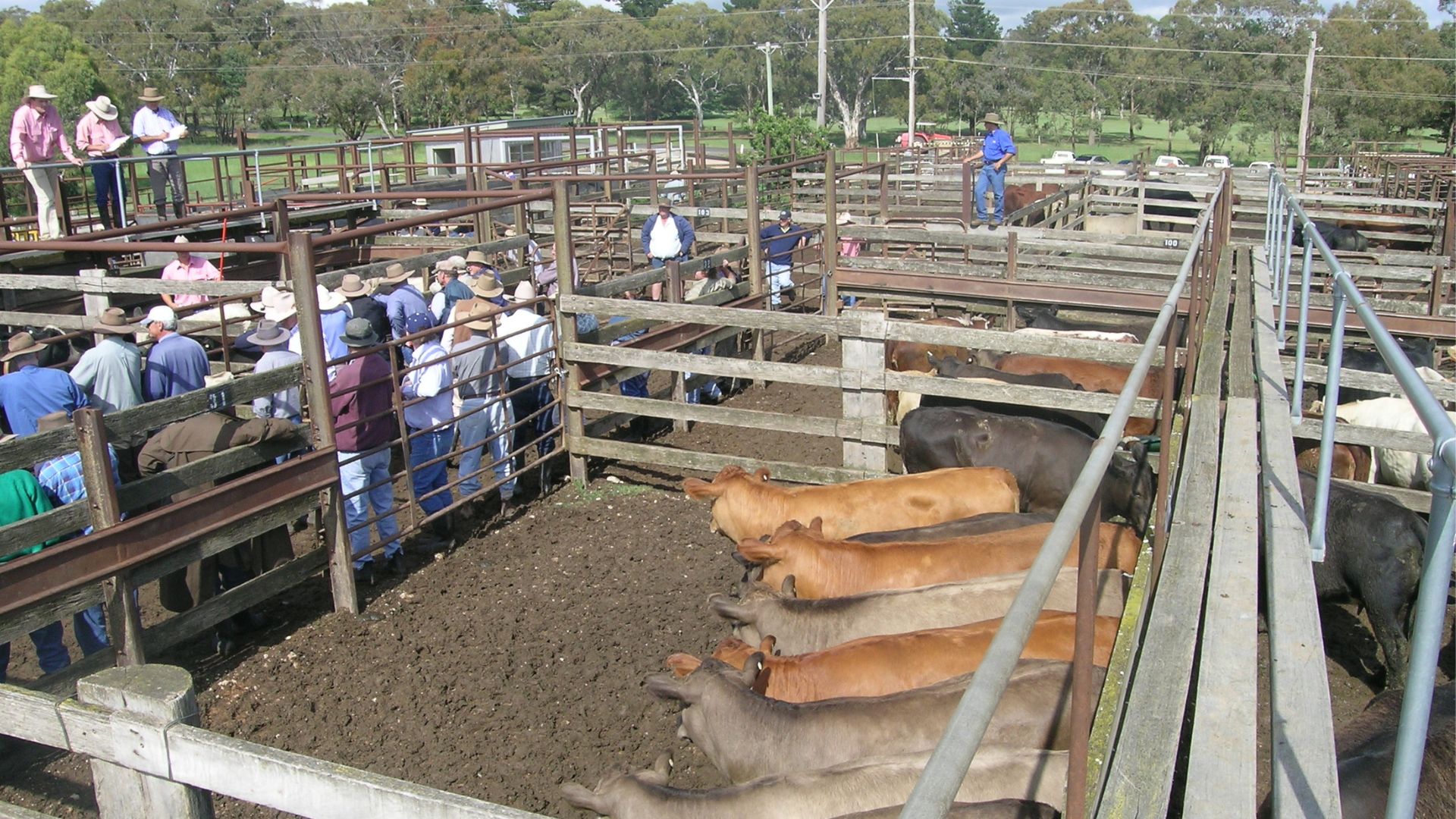 This week’s agri events: 9 – 13 March