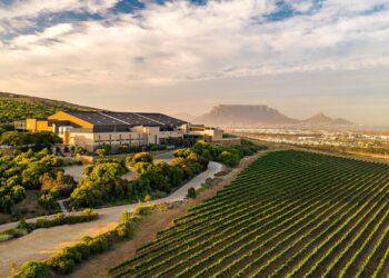 South Africa Wine launches its first ESG Position Paper, outlining a shared vision for sustainability, inclusion, and responsible wine production across the industry. Photo: Supplied/Food For Mzansi