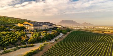 South Africa Wine launches its first ESG Position Paper, outlining a shared vision for sustainability, inclusion, and responsible wine production across the industry. Photo: Supplied/Food For Mzansi