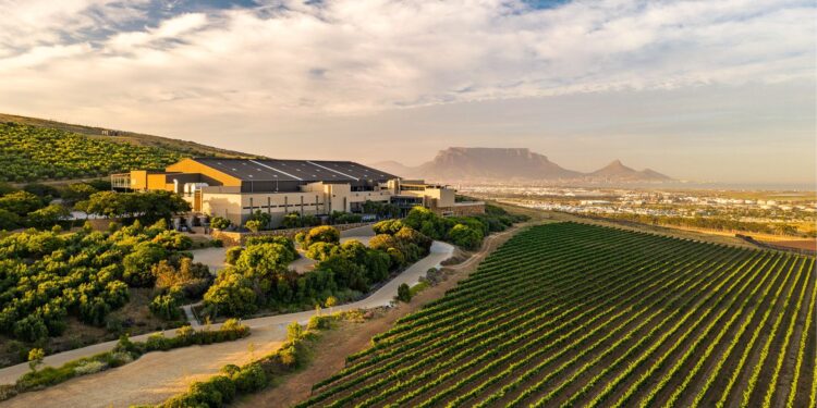 Early SA vineyard conditions point to promising 2027 wine harvest potential as producers focus on water management, market alignment, and value creation. Photo: Supplied/Food For Mzansi