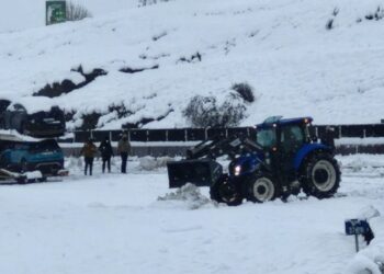 Frozen farms: Harsh weather hits farmers hard