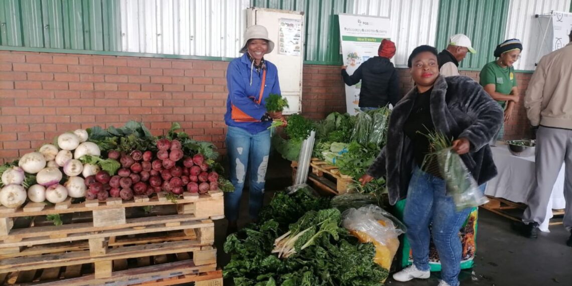 Intambanana Farming and Multi-Purpose Co-op was founded in 2016 to combat poverty in Khayelitsha, East London in the Eastern Cape.
Photo: Supplied/Food For Mzansi