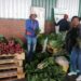Intambanana Co-op: Farming together, growing together