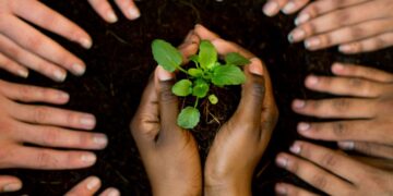 Traditional plough-based farming depletes soil and worsens climate vulnerability, but conservation agriculture offers a sustainable alternative. Photo: Supplied/Food For Mzansi