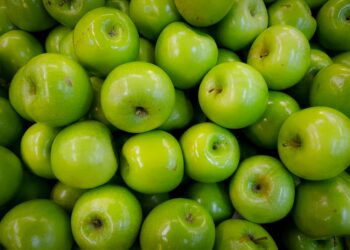 Green apples: A zesty zing for your health and backyard