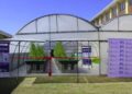 The new nanobubble aquaponics pilot plant at De Grendel School of Skills, unveiled by the Technology Innovation Agency and Fine Bubble Technologies. Photo: Supplied/Food For Mzansi