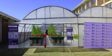 The new nanobubble aquaponics pilot plant at De Grendel School of Skills, unveiled by the Technology Innovation Agency and Fine Bubble Technologies. Photo: Supplied/Food For Mzansi