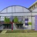 The new nanobubble aquaponics pilot plant at De Grendel School of Skills, unveiled by the Technology Innovation Agency and Fine Bubble Technologies. Photo: Supplied/Food For Mzansi