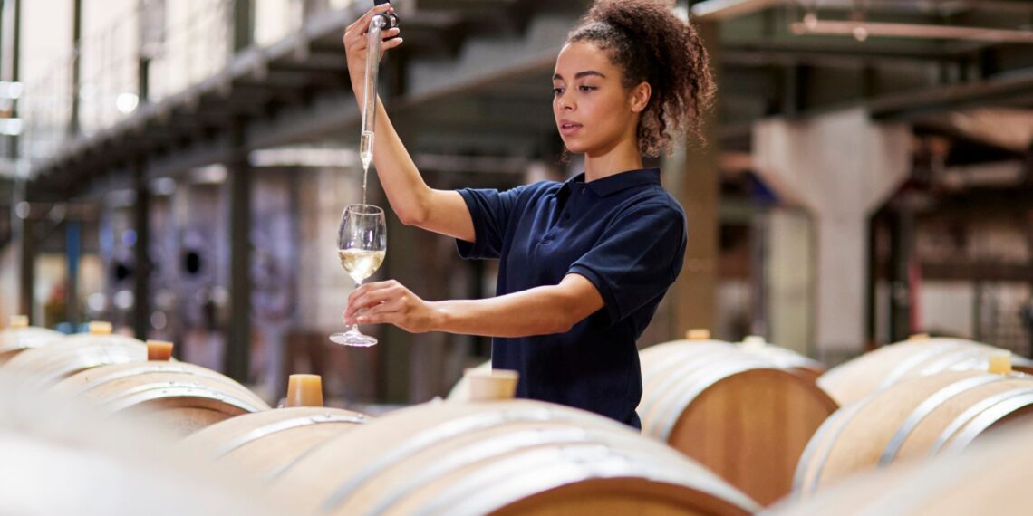 South Africa Wine’s 2024 graduate placement orogramme: Employers are encouraged to join and help shape the future of the wine industry. Photo: Supplied/Food For Mzansi