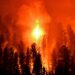 Veld fires in the Eastern Cape are destroying vital agricultural assets and livelihoods, but community efforts, firefighting support, and donations offer hope amidst widespread destruction. Photo: Supplied/Canva