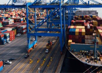 Government and industry partnerships are key to expanding agricultural exports. Efficient operations and collaboration are crucial for enhancing South Africa’s market reach and addressing trade challenges. Photo: Supplied/Food For Mzansi
