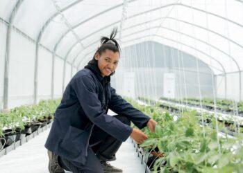 Pheliswa Toto, an intern at the Living Soils Community Learning Farm, tends to crops inside the hydroponic greenhouse tunnel donated by Vegtech Netafim. Photo: Supplied/Food For Mzansi