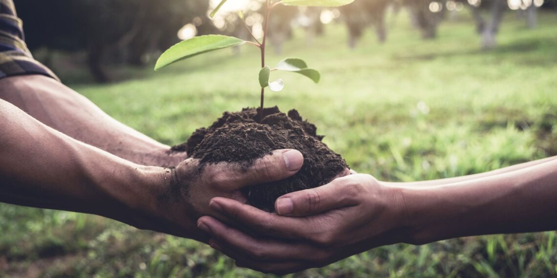 The Rainforest Alliance is making strides in Southern Africa, empowering approximately 7.5 million farmers to embrace sustainable practices. Their certification programme is vital for connecting these farmers to sustainable markets and fostering community growth. Photo: Supplied/Food For Mzansi