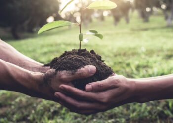 The Rainforest Alliance is making strides in Southern Africa, empowering approximately 7.5 million farmers to embrace sustainable practices. Their certification programme is vital for connecting these farmers to sustainable markets and fostering community growth. Photo: Supplied/Food For Mzansi