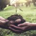 The Rainforest Alliance is making strides in Southern Africa, empowering approximately 7.5 million farmers to embrace sustainable practices. Their certification programme is vital for connecting these farmers to sustainable markets and fostering community growth. Photo: Supplied/Food For Mzansi