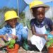 Children in Afrika Tikkun’s Garden-to-Kindergarten initiative learn the importance of nutrition and healthy eating while cultivating their own vegetable patches, fostering a love for gardening from an early age. Photo: Supplied/Food For Mzansi