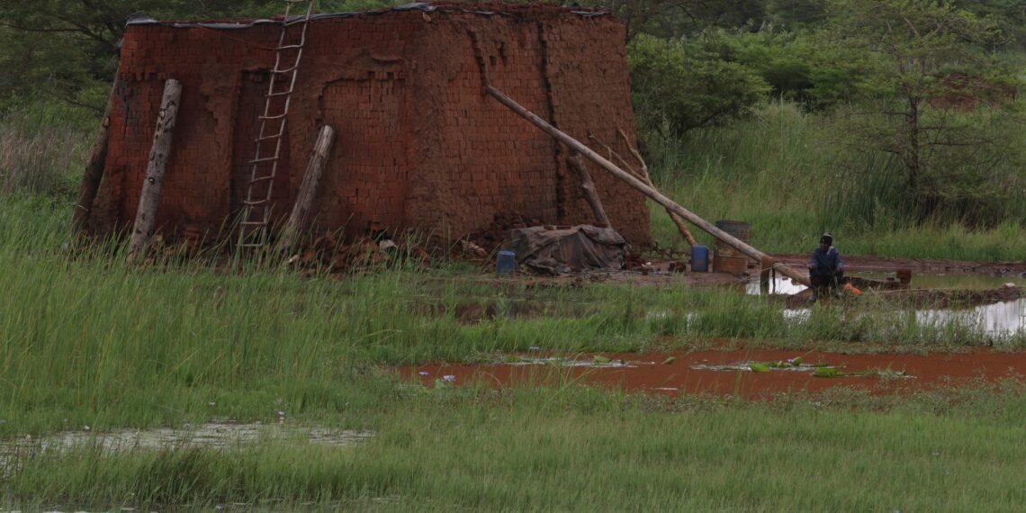 This article explores women’s land struggles in post-apartheid South Africa. Photo: Supplied/PLAAS