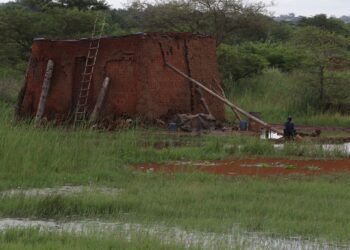 The struggle is real: SA’s rural women fight for land justice