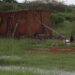 The struggle is real: SA’s rural women fight for land justice