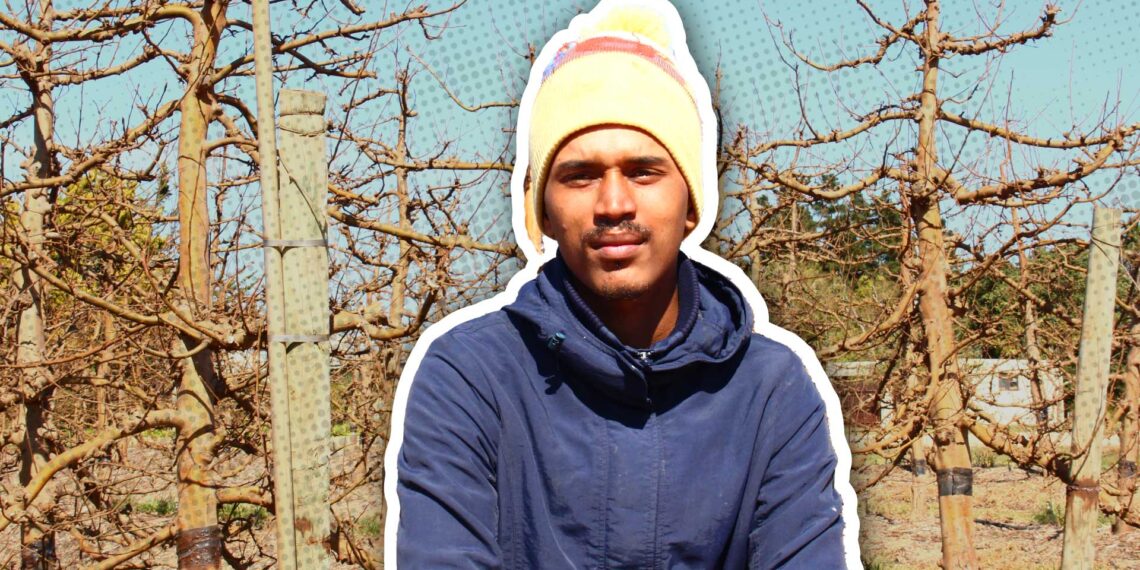 Davon Johnson, a farmworker from Theewaterskloof, tends to apple trees by day, and by night, he dreams of stardom. Photo: Food For Mzansi