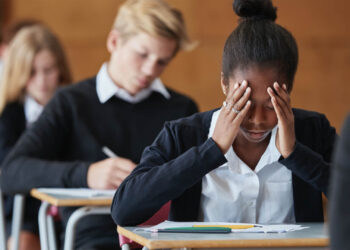 It’s crunch time as grade 12 agri learners face final exams