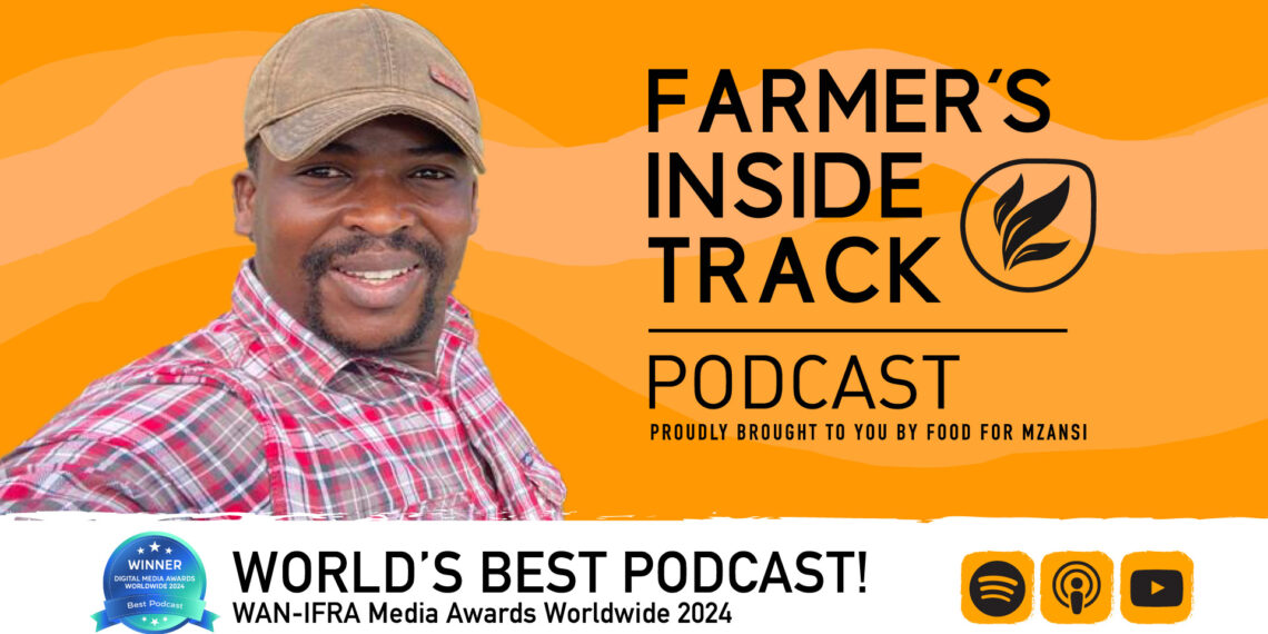Ndumiso Gule shares tips for attending livestock auctions.
Photo: Supplied/Food For Mzansi
