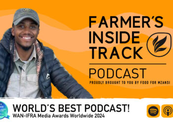 Smart production planning crucial for crop farming success
