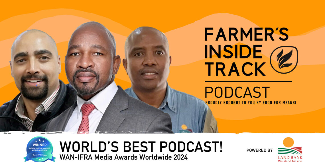 Themba Rikhotso (middle), Craig Harrison, and Mzi Shabangu discuss Landbank's future. Photo: Food For Mzansi