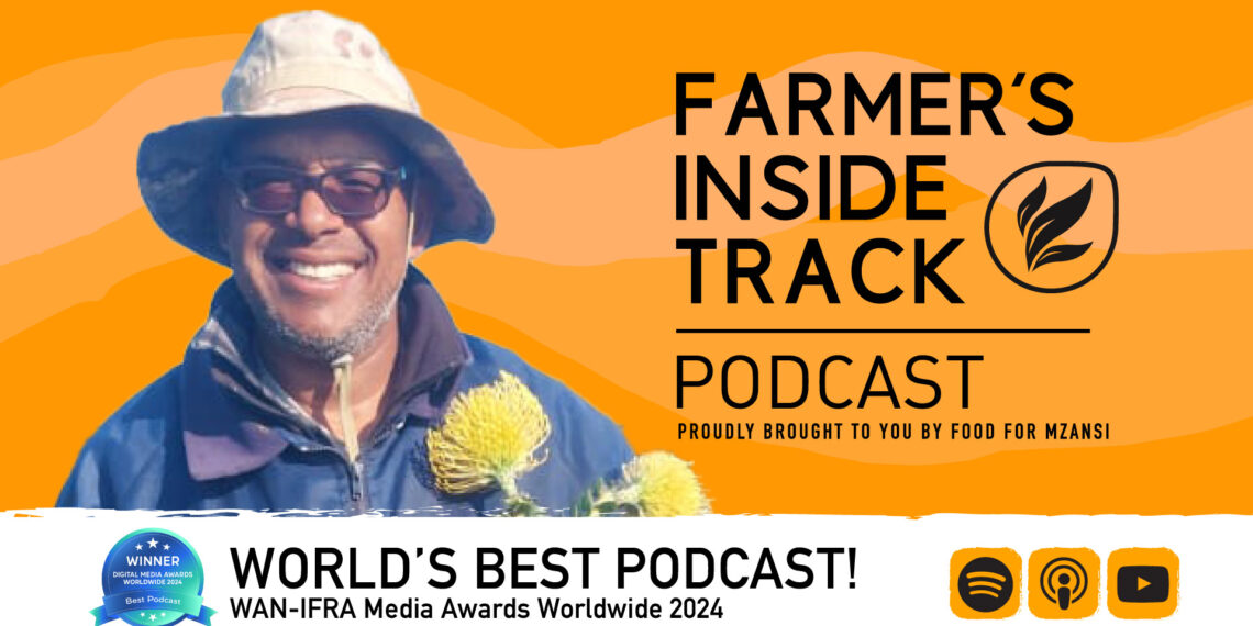 Veteran farmer Roland Trout delves into the key factors for success in pig farming. Photo: Food For Mzansi