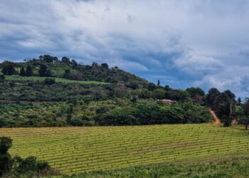 Land reform stalls, CSI offers a path forward – Setou