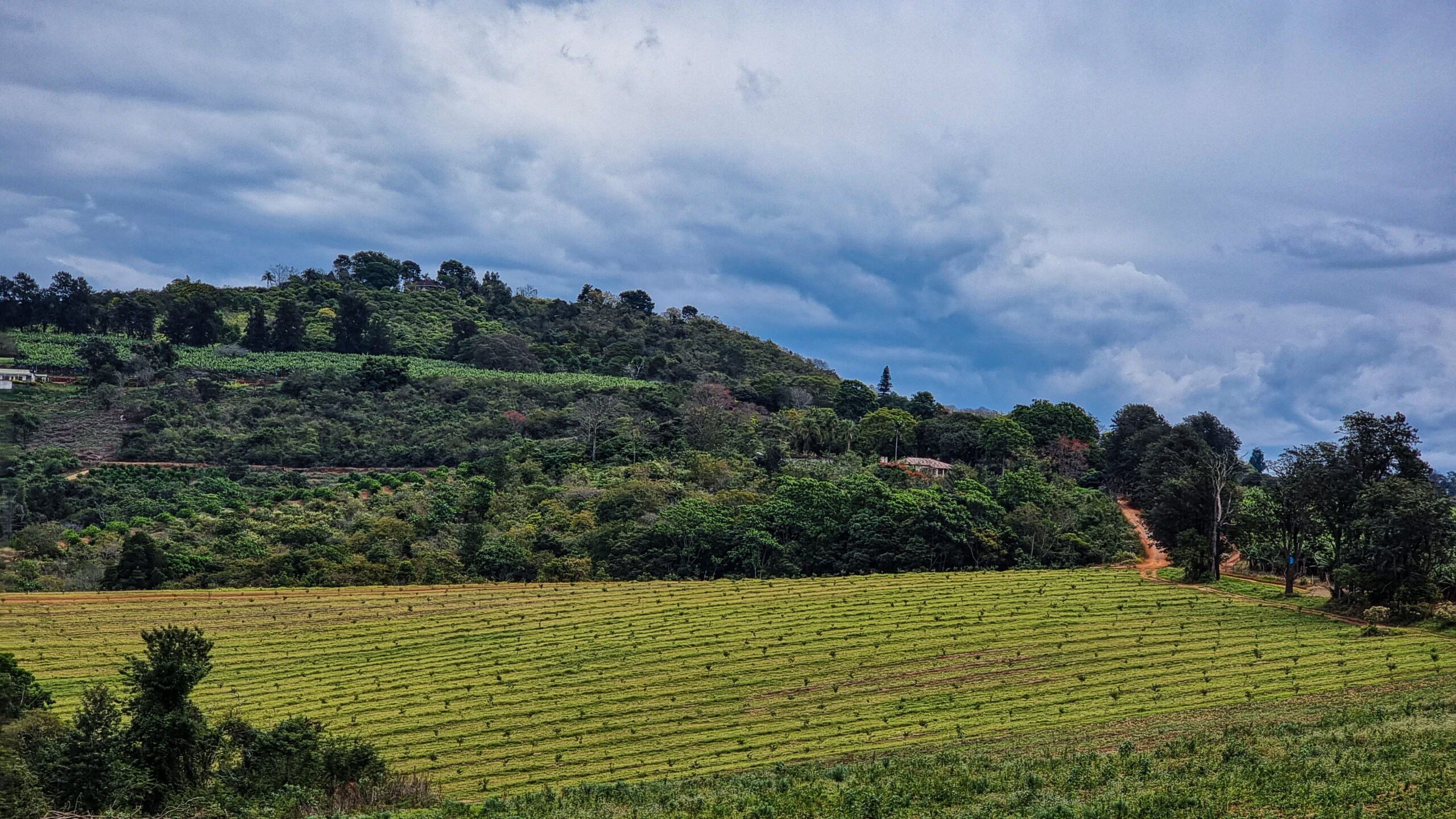 Why the environment is the real boss of farming