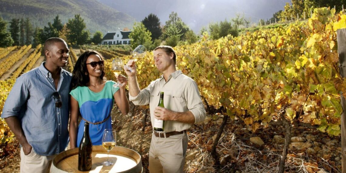 Wine tourism plays a major role in South Africa's tourism industry and has many career opportunities. Photo: South Africa Wine