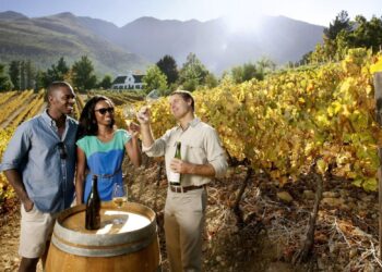Wine tourism offers untapped potential for young jobseekers