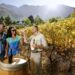 Wine tourism offers untapped potential for young jobseekers