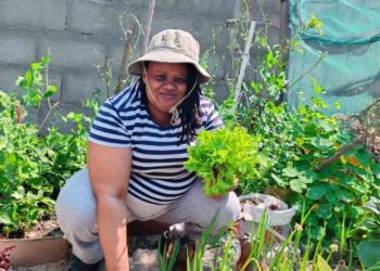 Healing harvests: How backyard gardening changed Thembi’s life