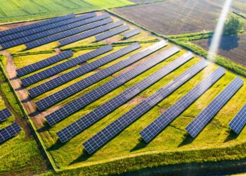 Farmers can reduce energy costs by up to 54% with solar, providing a sustainable alternative to Eskom’s rising tariffs. Photo: Supplied/Food For Mzansi