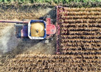 Rising farm input costs, including machinery like tractors, harvesters, and irrigation systems, are putting pressure on farmers to adopt more efficient and cost-effective solutions. Photo: Supplied/Food For Mzansi