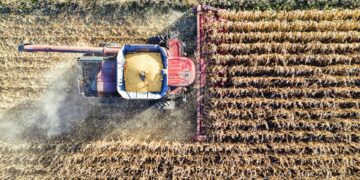 Rising farm input costs, including machinery like tractors, harvesters, and irrigation systems, are putting pressure on farmers to adopt more efficient and cost-effective solutions. Photo: Supplied/Food For Mzansi