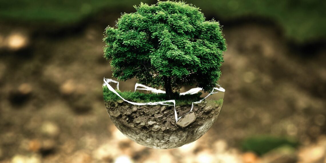 The climate and care crises are interconnected, rooted in undervaluing people and the environment. According to researchers, the care-climate nexus project seeks solutions by integrating care into climate policy for a sustainable, equitable future. Photo: Pixabay