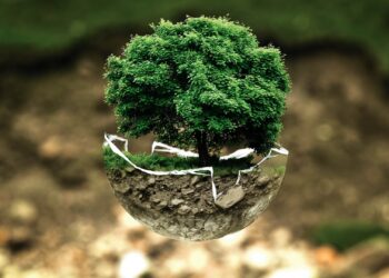 Climate action needs a caring economy