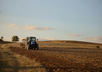 Plan for profit: Top tips to optimise crop production