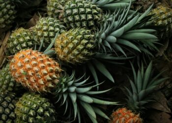 Pineapples: The juicy, tropical superfruit your garden needs
